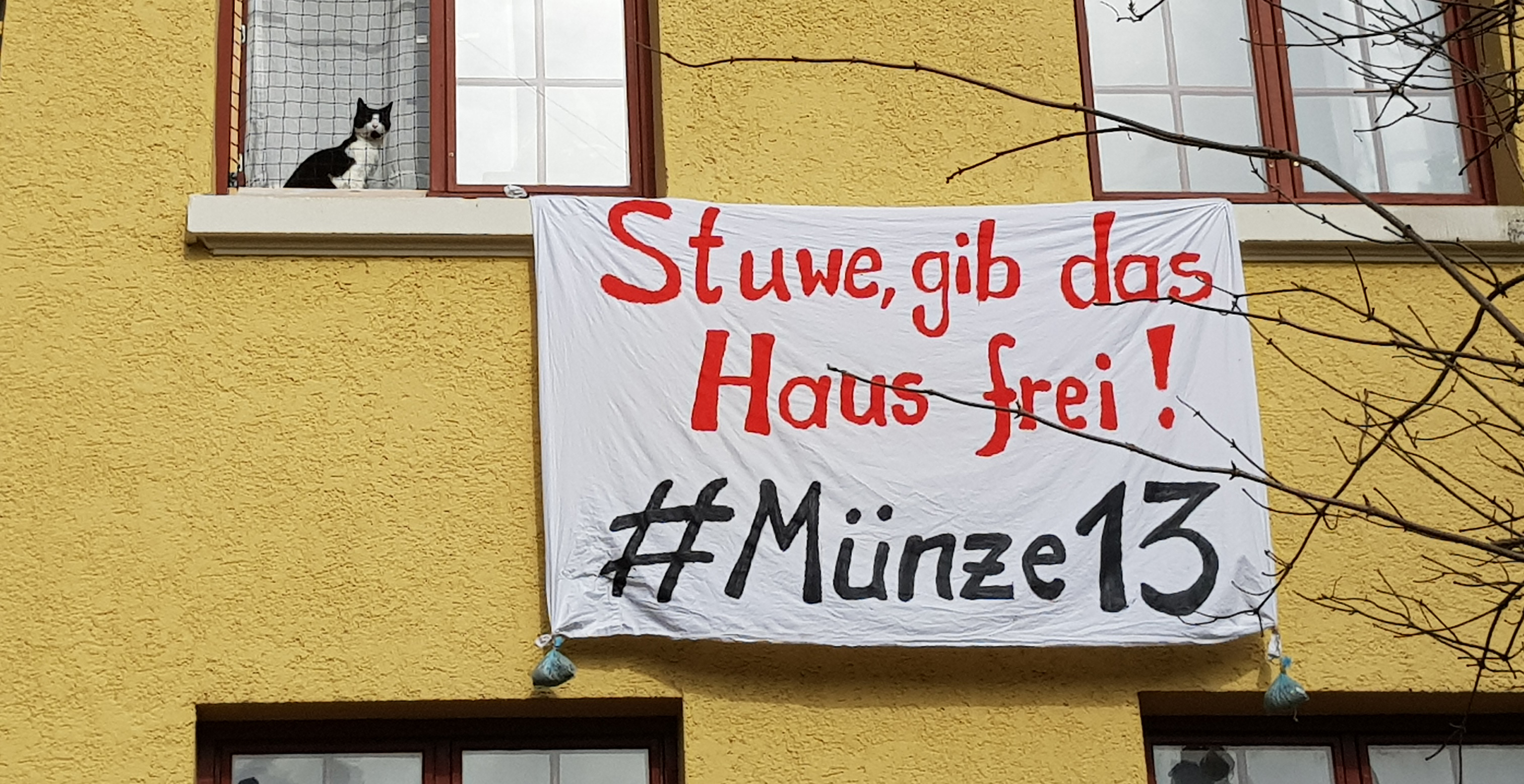 Unterstuetzung für Muenze